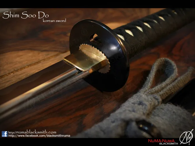 korean weapon Shim Soo Do sword 3 dasar_shim_soodo3