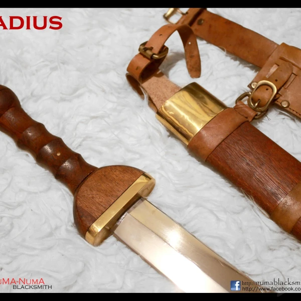 European weapon Gladius 2 gladius_c