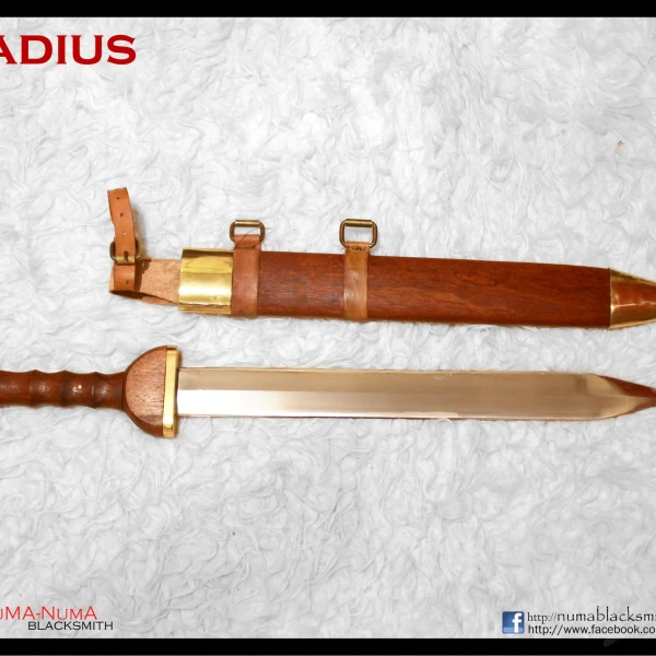 European weapon Gladius 4 gladius_d