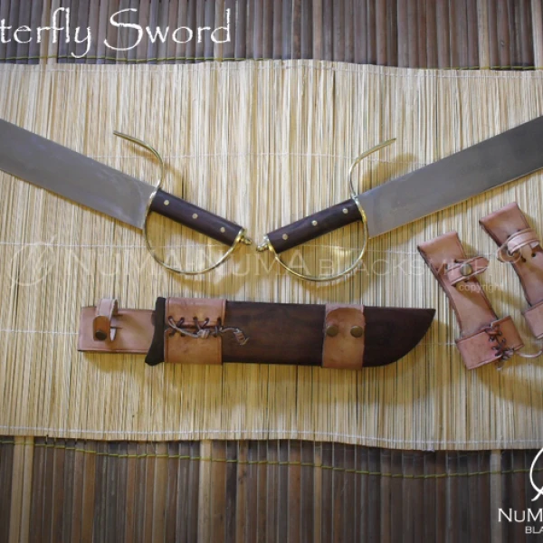 Chinese weapon Butterfly Sword 1 sdc10216