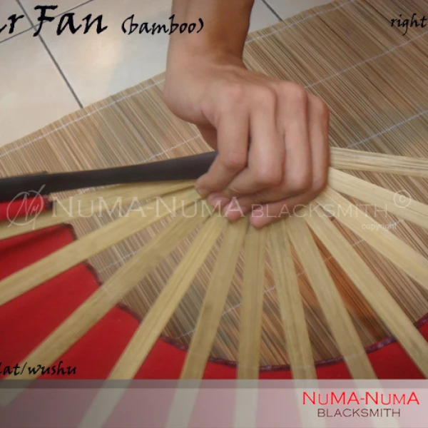 Wood Weapon kipas silat/wushu 4 sdc11025