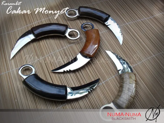 Indonesia weapon Karambit cakar monyet 1 sdc11542