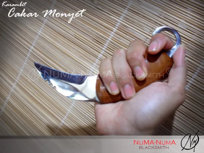 Indonesia weapon Karambit cakar monyet 3 sdc11549