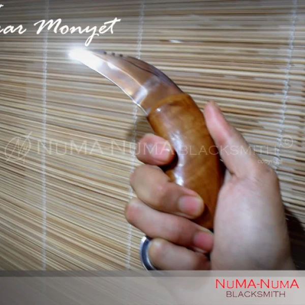 Indonesia weapon Karambit cakar monyet 4 sdc11552