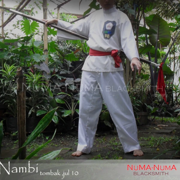 Indonesia weapon Tombak PatiNambi 4 sdc11907