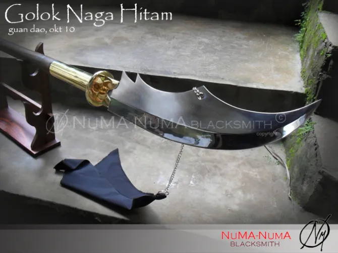 Chinese weapon Naga Hitam 4 sdc12769