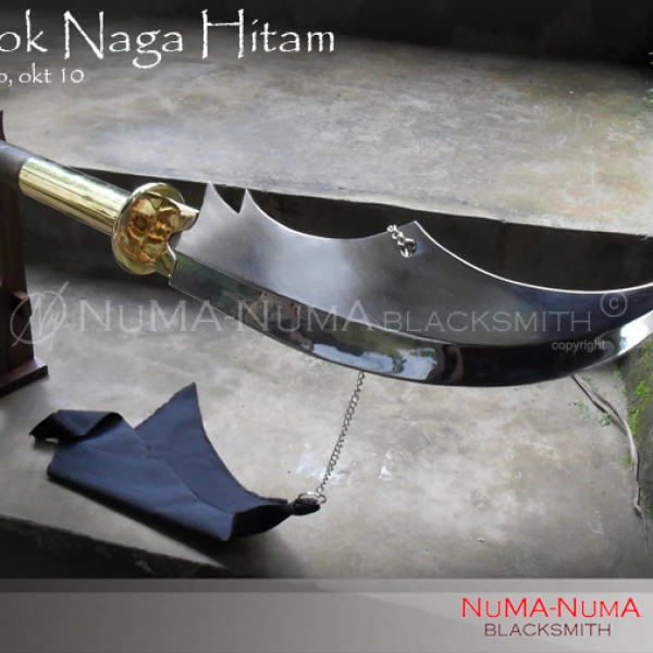 Chinese weapon Naga Hitam 4 sdc12769