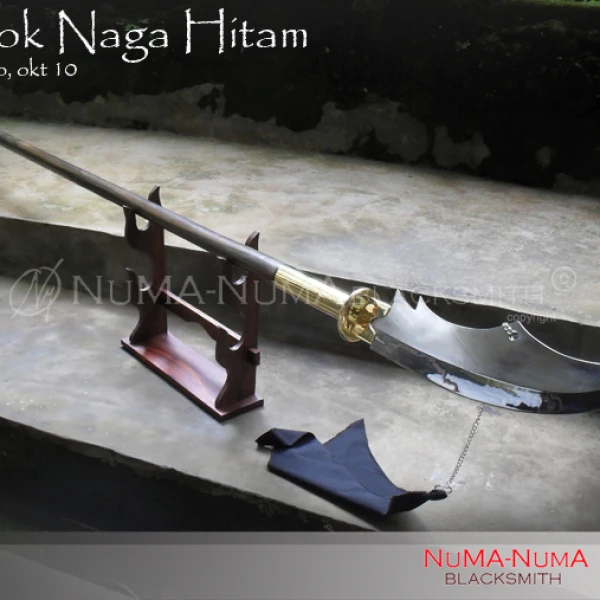 Chinese weapon Naga Hitam 1 sdc12770