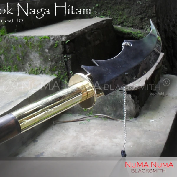 Chinese weapon Naga Hitam 3 sdc12772