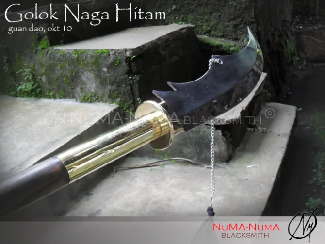 Chinese weapon Naga Hitam 3 sdc12772