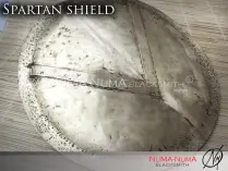 Spartan Shield