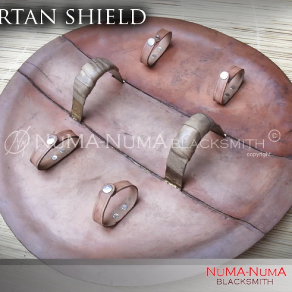 European weapon Spartan Shield 2 sdc14055