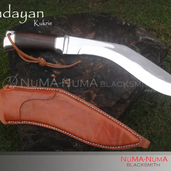 Knife weapon pandayan kukrie 1 sdc15724